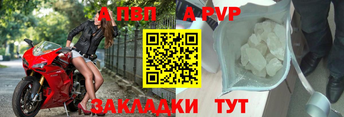Котлас  Alpha-PVP СК КРИС  А ПВП  Вход с VPN 