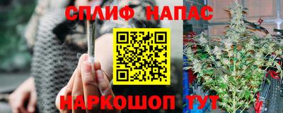 сатива Кинель