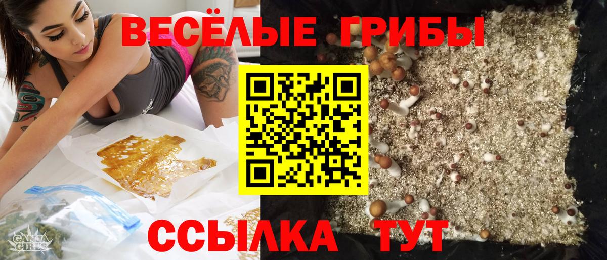 Псилоцибиновые грибы мухоморы Котлас