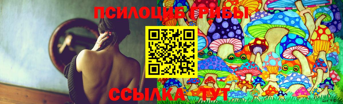 Псилоцибиновые грибы Cubensis  Галлюциногенные грибы GOLDEN TEACHER  Котлас  Вход с VPN 